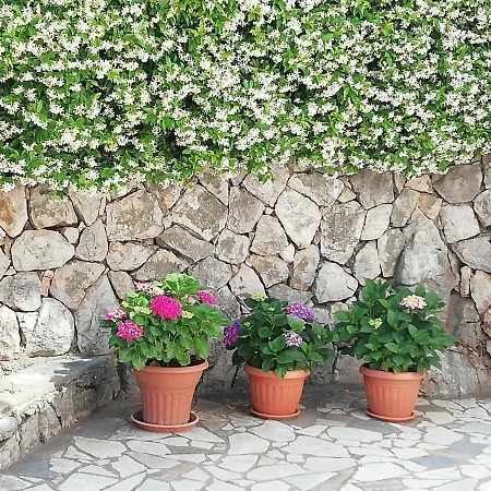 Gromaca Apartman