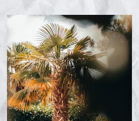 Gromaca Apartament Omišalj